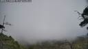 ./images/calvert/fitz-hugh-hecate/20250611/fitz-hugh-hecate20250611_145009M.jpg