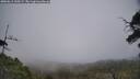 ./images/calvert/fitz-hugh-hecate/20250611/fitz-hugh-hecate20250611_145509M.jpg