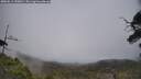 ./images/calvert/fitz-hugh-hecate/20250611/fitz-hugh-hecate20250611_150010M.jpg