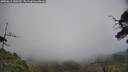./images/calvert/fitz-hugh-hecate/20250611/fitz-hugh-hecate20250611_150509M.jpg