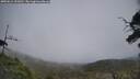 ./images/calvert/fitz-hugh-hecate/20250611/fitz-hugh-hecate20250611_151010M.jpg