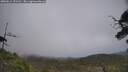 ./images/calvert/fitz-hugh-hecate/20250611/fitz-hugh-hecate20250611_151511M.jpg