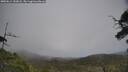 ./images/calvert/fitz-hugh-hecate/20250611/fitz-hugh-hecate20250611_152008M.jpg