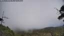 ./images/calvert/fitz-hugh-hecate/20250611/fitz-hugh-hecate20250611_152509M.jpg