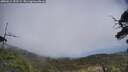 ./images/calvert/fitz-hugh-hecate/20250611/fitz-hugh-hecate20250611_153509M.jpg