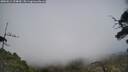 ./images/calvert/fitz-hugh-hecate/20250611/fitz-hugh-hecate20250611_154010M.jpg