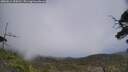 ./images/calvert/fitz-hugh-hecate/20250611/fitz-hugh-hecate20250611_154511M.jpg