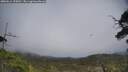 ./images/calvert/fitz-hugh-hecate/20250611/fitz-hugh-hecate20250611_155010M.jpg