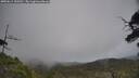 ./images/calvert/fitz-hugh-hecate/20250611/fitz-hugh-hecate20250611_155510M.jpg