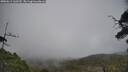 ./images/calvert/fitz-hugh-hecate/20250611/fitz-hugh-hecate20250611_160510M.jpg