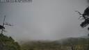 ./images/calvert/fitz-hugh-hecate/20250611/fitz-hugh-hecate20250611_161510M.jpg