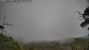 ./images/calvert/fitz-hugh-hecate/20250611/fitz-hugh-hecate20250611_162009M.jpg