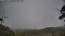 ./images/calvert/fitz-hugh-hecate/20250611/fitz-hugh-hecate20250611_163010M.jpg