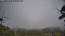 ./images/calvert/fitz-hugh-hecate/20250611/fitz-hugh-hecate20250611_163509M.jpg