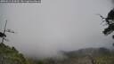 ./images/calvert/fitz-hugh-hecate/20250611/fitz-hugh-hecate20250611_164510M.jpg