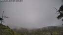 ./images/calvert/fitz-hugh-hecate/20250611/fitz-hugh-hecate20250611_165008M.jpg