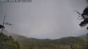 ./images/calvert/fitz-hugh-hecate/20250611/fitz-hugh-hecate20250611_165510M.jpg