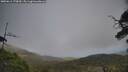 ./images/calvert/fitz-hugh-hecate/20250611/fitz-hugh-hecate20250611_170010M.jpg