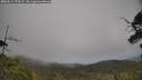 ./images/calvert/fitz-hugh-hecate/20250611/fitz-hugh-hecate20250611_170509M.jpg
