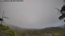 ./images/calvert/fitz-hugh-hecate/20250611/fitz-hugh-hecate20250611_171009M.jpg