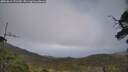 ./images/calvert/fitz-hugh-hecate/20250611/fitz-hugh-hecate20250611_171509M.jpg
