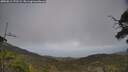 ./images/calvert/fitz-hugh-hecate/20250611/fitz-hugh-hecate20250611_172509M.jpg