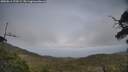 ./images/calvert/fitz-hugh-hecate/20250611/fitz-hugh-hecate20250611_173509M.jpg