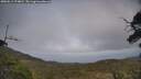 ./images/calvert/fitz-hugh-hecate/20250611/fitz-hugh-hecate20250611_174011M.jpg