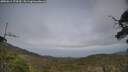 ./images/calvert/fitz-hugh-hecate/20250611/fitz-hugh-hecate20250611_174510M.jpg