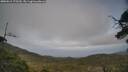 ./images/calvert/fitz-hugh-hecate/20250611/fitz-hugh-hecate20250611_175510M.jpg