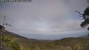 ./images/calvert/fitz-hugh-hecate/20250611/fitz-hugh-hecate20250611_180507M.jpg