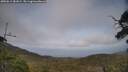 ./images/calvert/fitz-hugh-hecate/20250611/fitz-hugh-hecate20250611_181006M.jpg