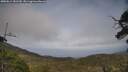 ./images/calvert/fitz-hugh-hecate/20250611/fitz-hugh-hecate20250611_181510M.jpg