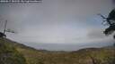 ./images/calvert/fitz-hugh-hecate/20250611/fitz-hugh-hecate20250611_182509M.jpg