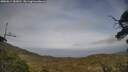 ./images/calvert/fitz-hugh-hecate/20250611/fitz-hugh-hecate20250611_183012M.jpg
