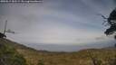 ./images/calvert/fitz-hugh-hecate/20250611/fitz-hugh-hecate20250611_183509M.jpg