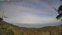 ./images/calvert/fitz-hugh-hecate/20250611/fitz-hugh-hecate20250611_184010M.jpg