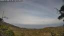 ./images/calvert/fitz-hugh-hecate/20250611/fitz-hugh-hecate20250611_184509M.jpg