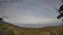 ./images/calvert/fitz-hugh-hecate/20250611/fitz-hugh-hecate20250611_185010M.jpg
