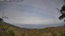 ./images/calvert/fitz-hugh-hecate/20250611/fitz-hugh-hecate20250611_185509M.jpg