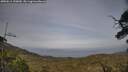 ./images/calvert/fitz-hugh-hecate/20250611/fitz-hugh-hecate20250611_190010M.jpg