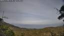 ./images/calvert/fitz-hugh-hecate/20250611/fitz-hugh-hecate20250611_190509M.jpg