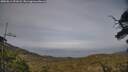 ./images/calvert/fitz-hugh-hecate/20250611/fitz-hugh-hecate20250611_191008M.jpg
