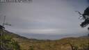 ./images/calvert/fitz-hugh-hecate/20250611/fitz-hugh-hecate20250611_191508M.jpg