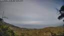 ./images/calvert/fitz-hugh-hecate/20250611/fitz-hugh-hecate20250611_192007M.jpg