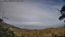 ./images/calvert/fitz-hugh-hecate/20250611/fitz-hugh-hecate20250611_192508M.jpg
