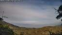 ./images/calvert/fitz-hugh-hecate/20250611/fitz-hugh-hecate20250611_193009M.jpg