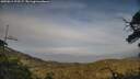 ./images/calvert/fitz-hugh-hecate/20250611/fitz-hugh-hecate20250611_193506M.jpg