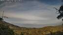 ./images/calvert/fitz-hugh-hecate/20250611/fitz-hugh-hecate20250611_195009M.jpg