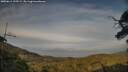 ./images/calvert/fitz-hugh-hecate/20250611/fitz-hugh-hecate20250611_195508M.jpg